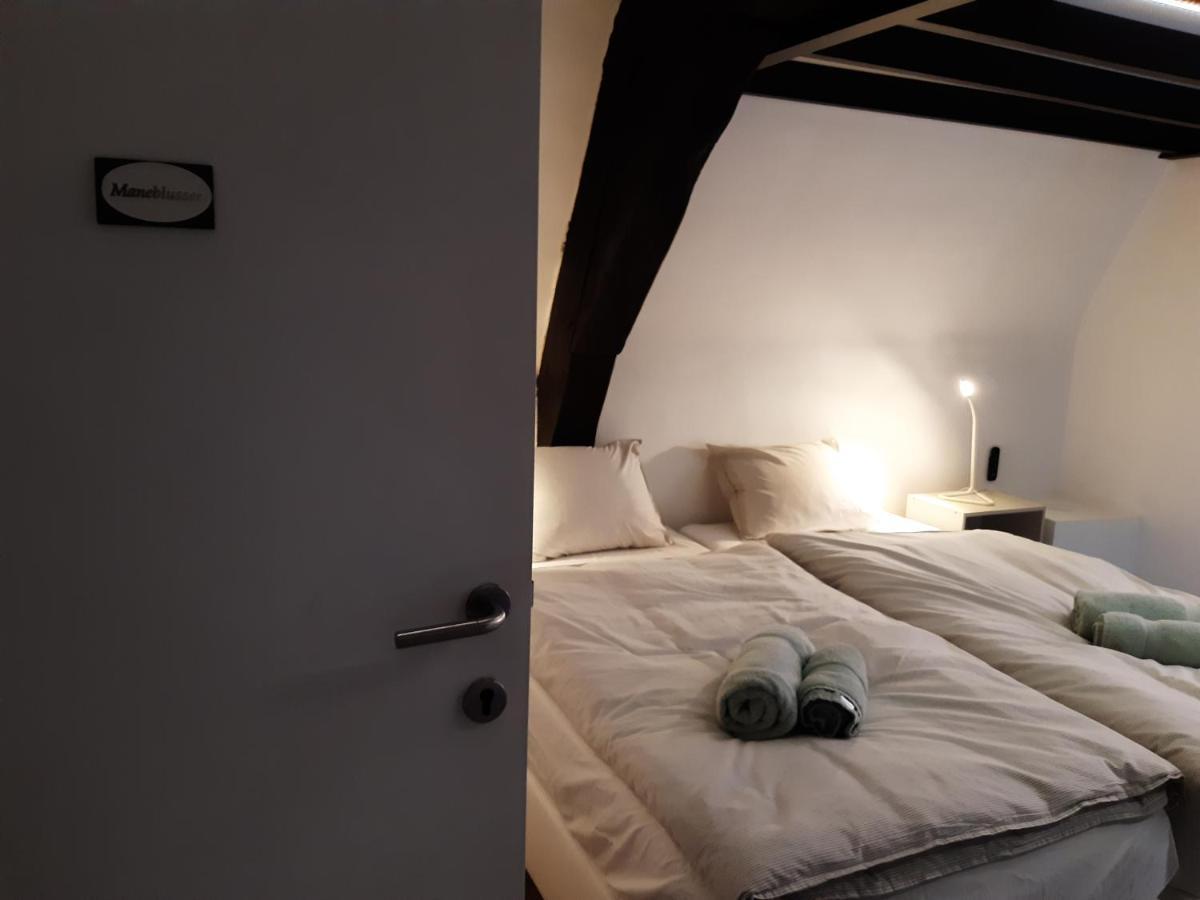 Apartament Het Maelslot Mechelen Zewnętrze zdjęcie